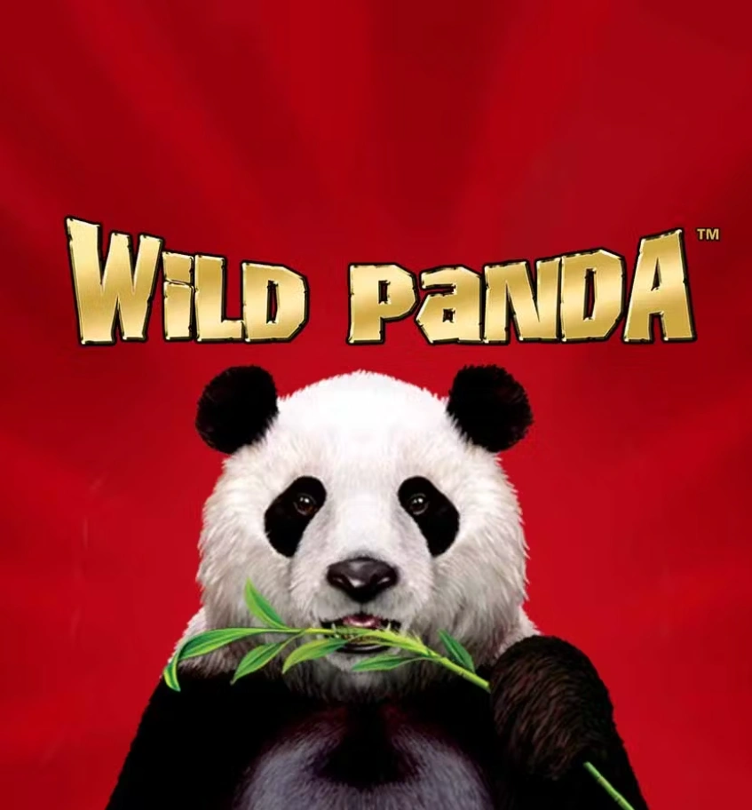 Wild Panda